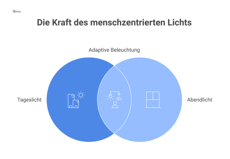  Infografik, die den Einfluss von Lichtfarben auf den Menschen im Tagesverlauf darstellt: Kühles Licht fördert Wachheit, warmes Licht unterstützt Entspannung.