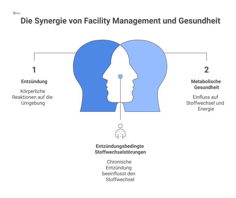  Diagramm mit dem zentralen Knoten 'FM', der die Wirkmechanismen auf die vier Bereiche Entzündung, metabolische Gesundheit, Psychosoziales und gebaute Umwelt zeigt. 