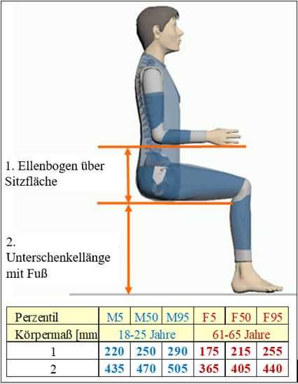 Grafische Darstellung eines Mitarbeiters mit angepassten Sitzmassen je nach Altersgruppe 