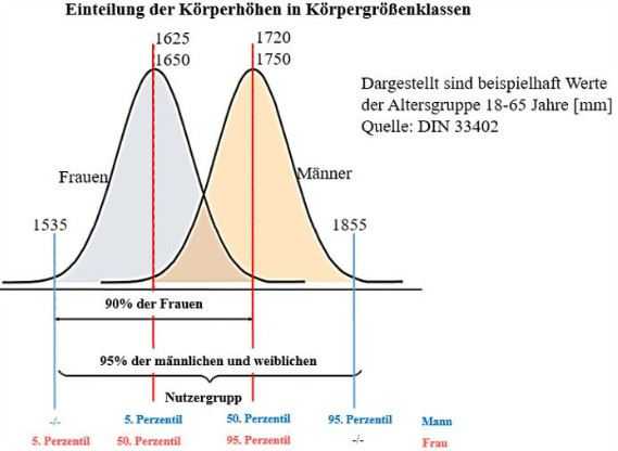Normalverteilungen von Frauen und Maennern nach Koerperhoehen in mm